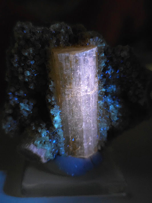 Apatite avec inclusions d'Epidote, Actinolite,Stilbite, Arfvedsonite du Maroc.