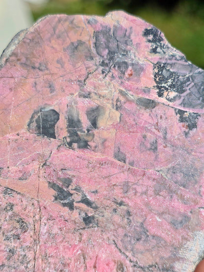Tranche de Friedelite des Pyrénées semie polie