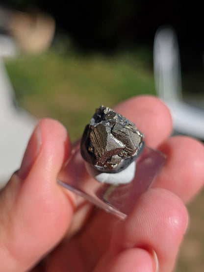 Pyrite sur Schiste de Serre-Ponçon dans les Alpes
