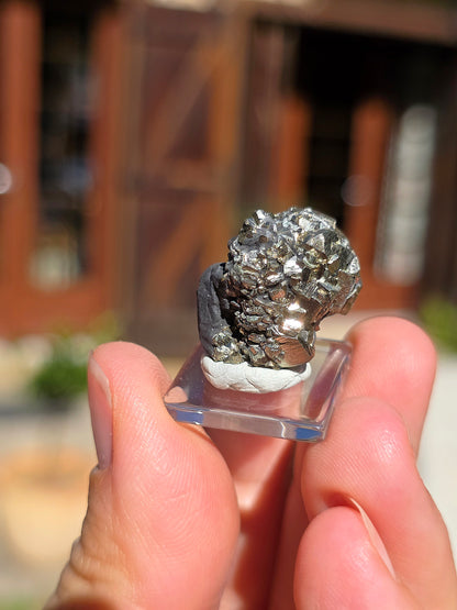 Pyrite sur Schiste de Serre-Ponçon n°6