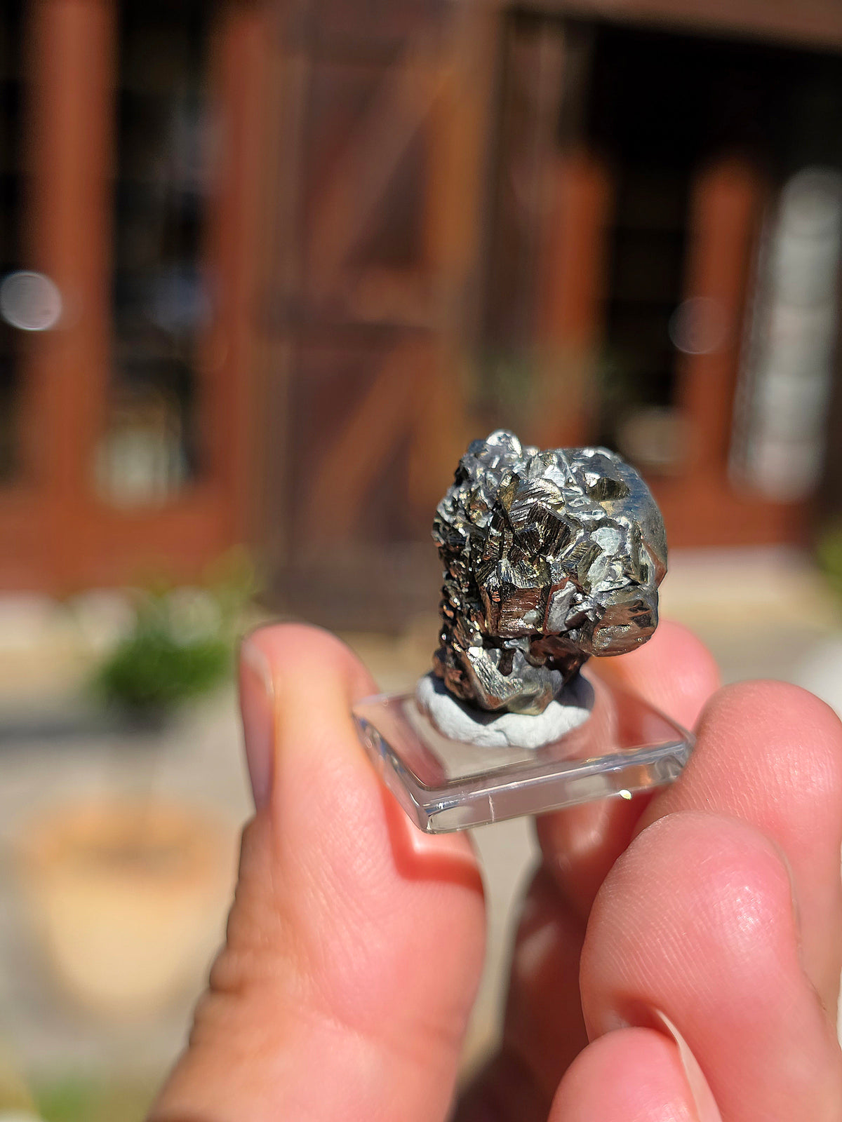 Pyrite sur Schiste de Serre-Ponçon