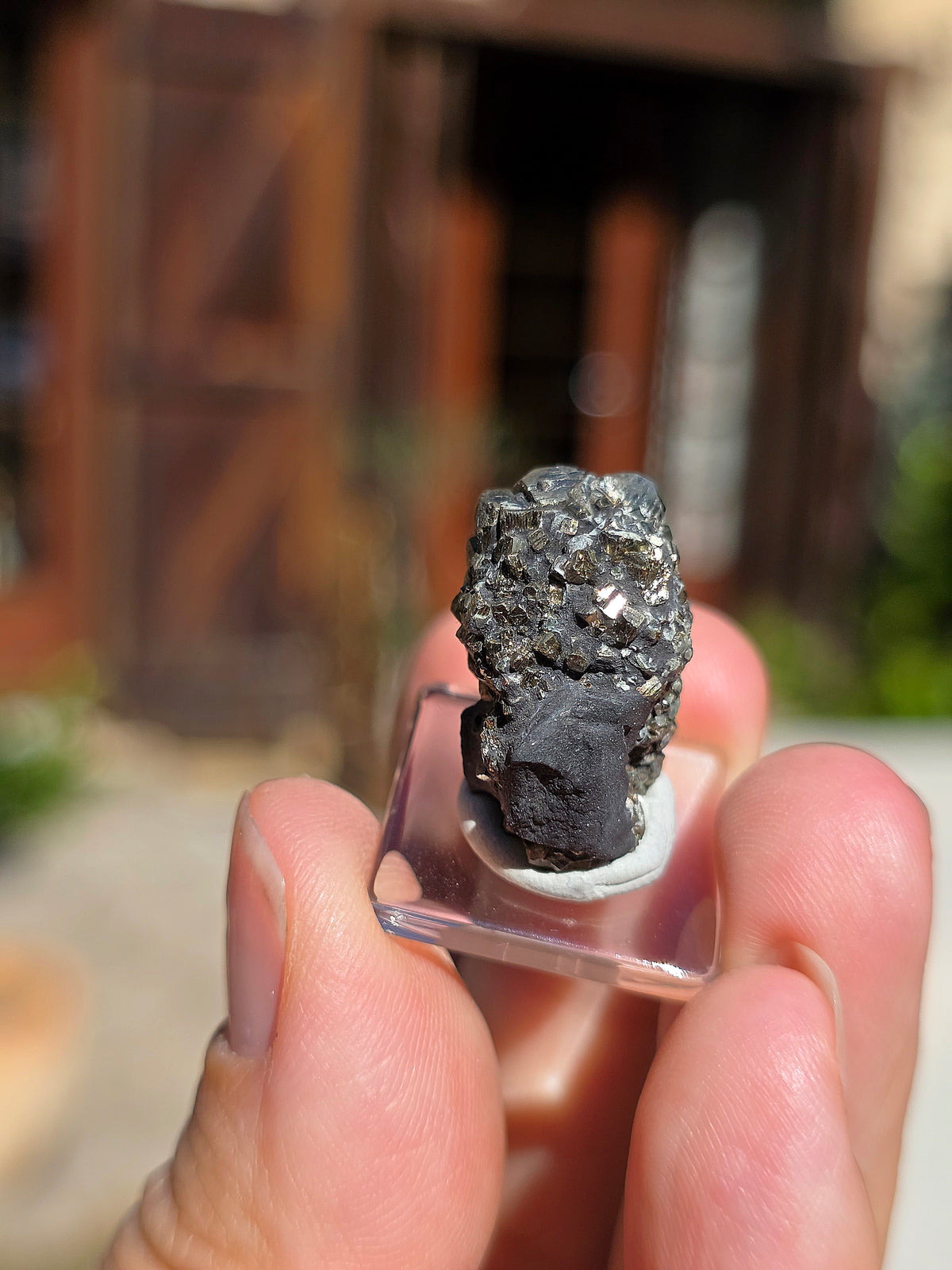 Pyrite sur Schiste de Serre-Ponçon