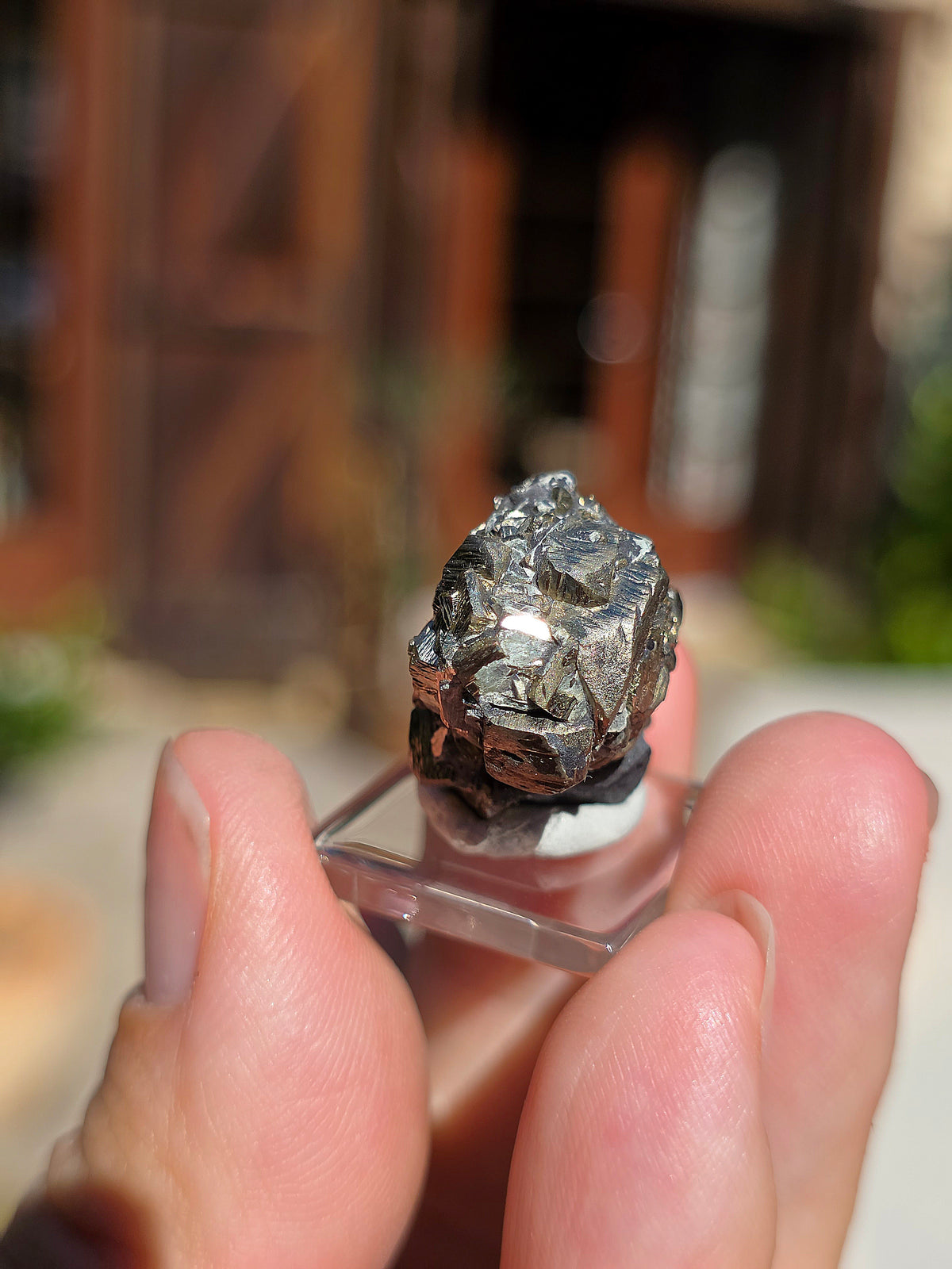 Pyrite sur Schiste de Serre-Ponçon