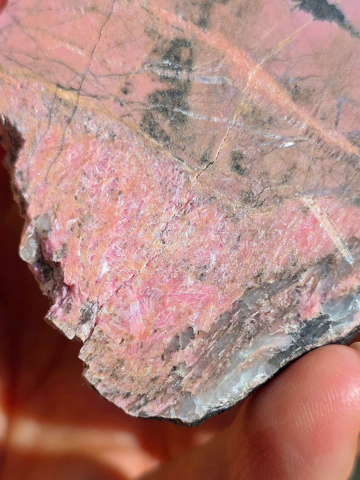 tranche de Friedelite des Pyrénées