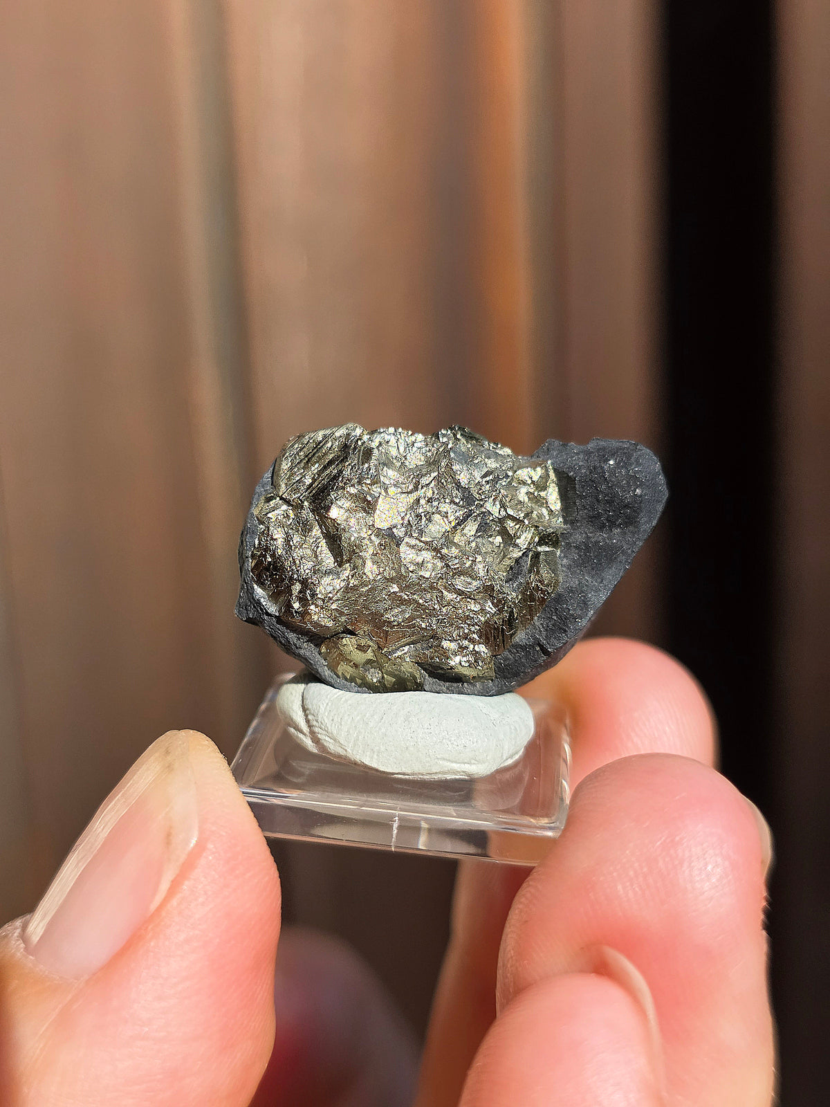 Pyrite sur Schiste de Serre-Ponçon n°7