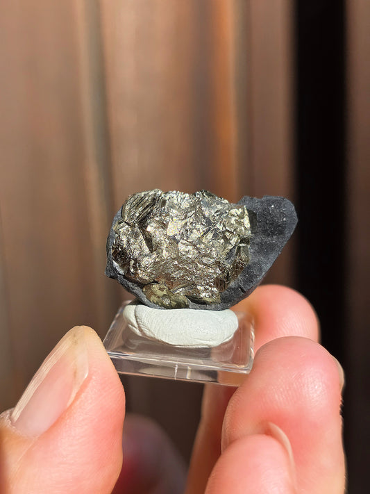 Pyrite sur Schiste de Serre-Ponçon n°7