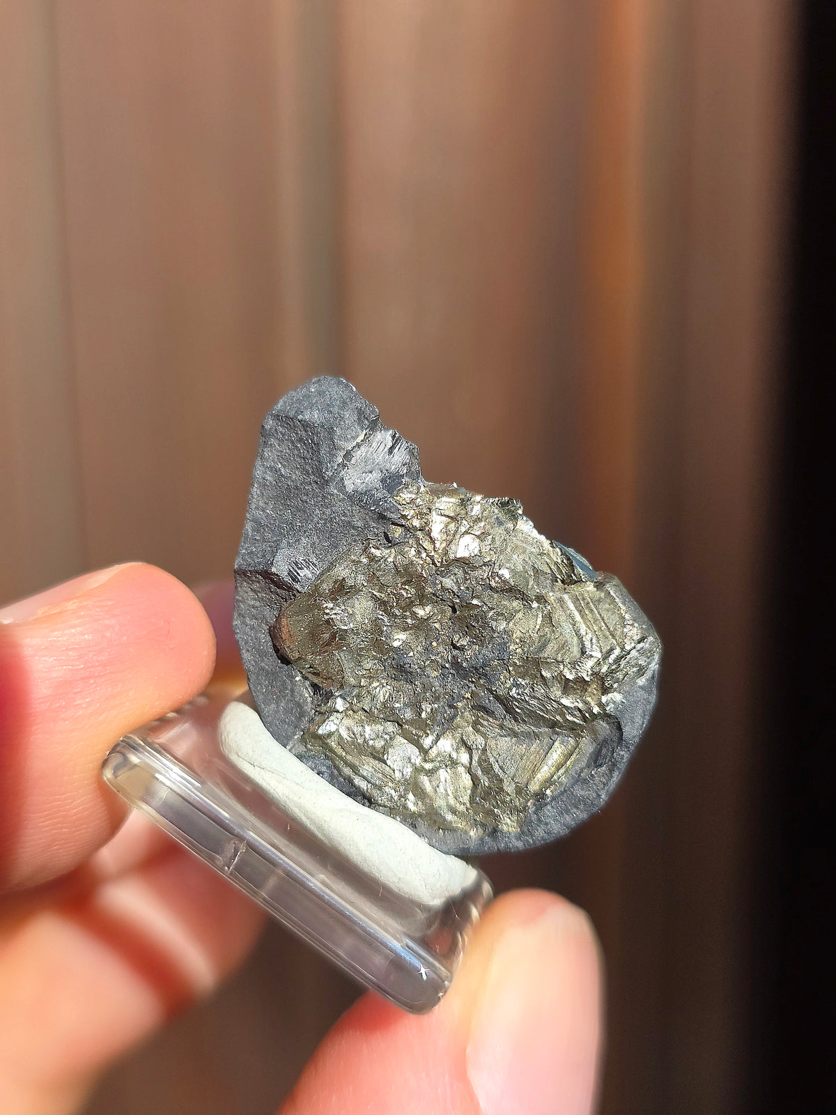 Pyrite sur Schiste de Serre-Ponçon n°7