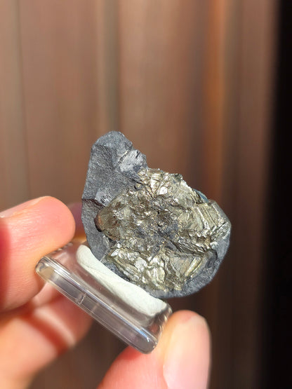 Pyrite sur Schiste de Serre-Ponçon n°7