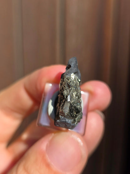 Pyrite sur Schiste de Serre-Ponçon n°7