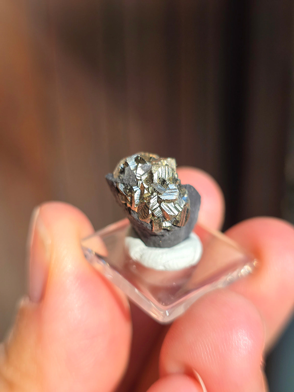 Pyrite sur Schiste de Serre-Ponçon n°8