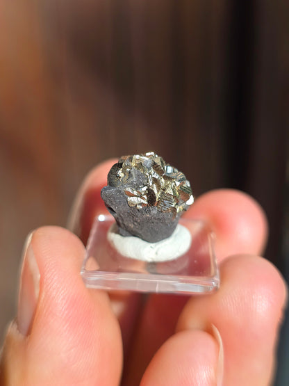 Pyrite sur Schiste de Serre-Ponçon