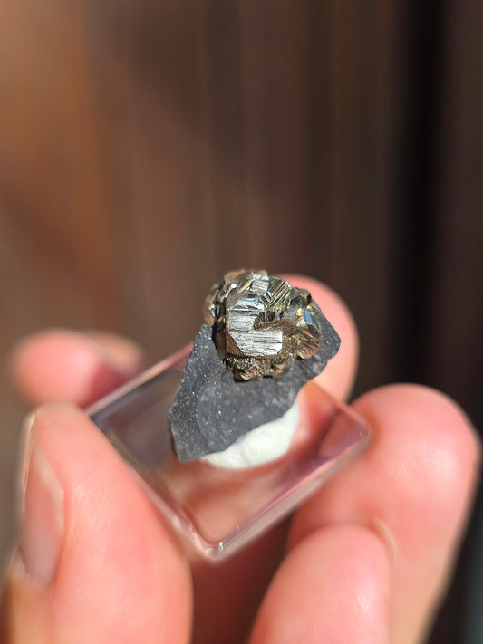Pyrite sur Schiste de Serre-Ponçon