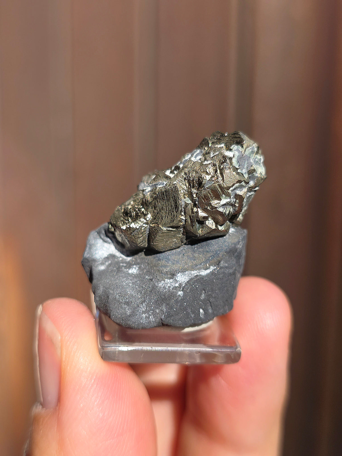 Pyrite sur Schiste de Serre-Ponçon n°9