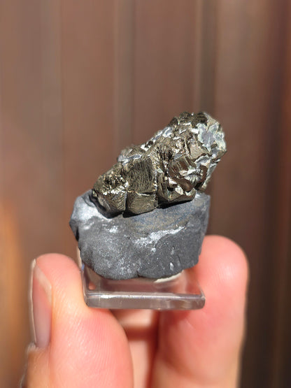 Pyrite sur Schiste de Serre-Ponçon n°9