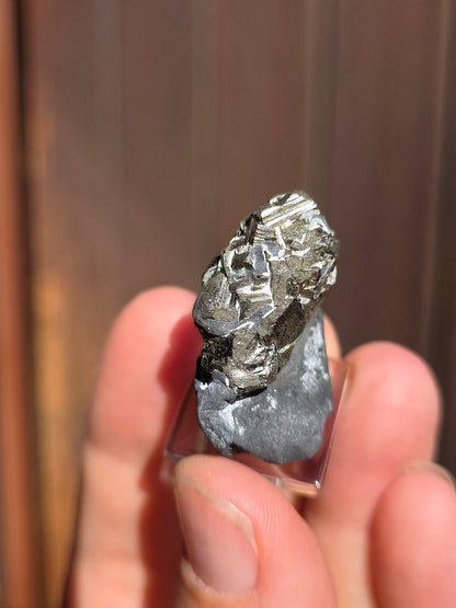 Pyrite sur Schiste de Serre-Ponçon 9