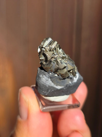 Pyrite sur Schiste de Serre-Ponçon