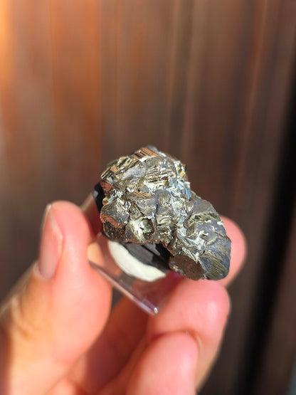 Pyrite sur Schiste française de Serre-Ponçon n°10