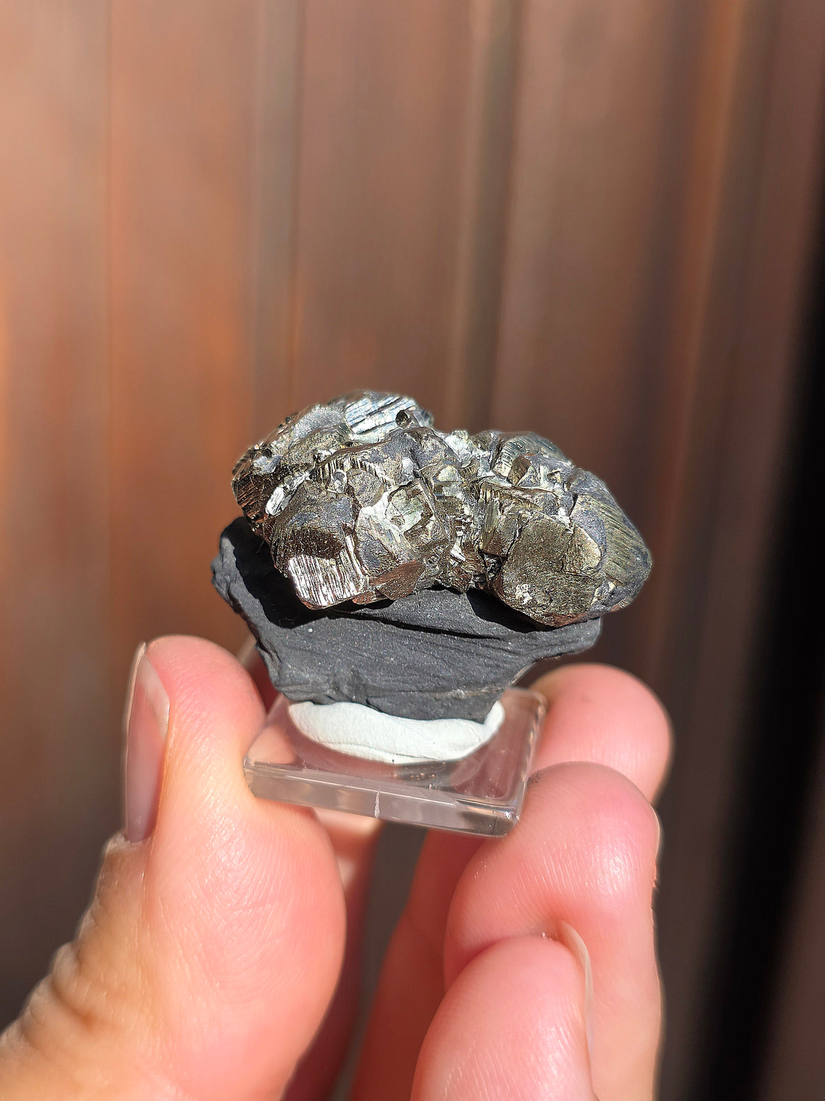 Pyrite sur Schiste française de Serre-Ponçon n°10
