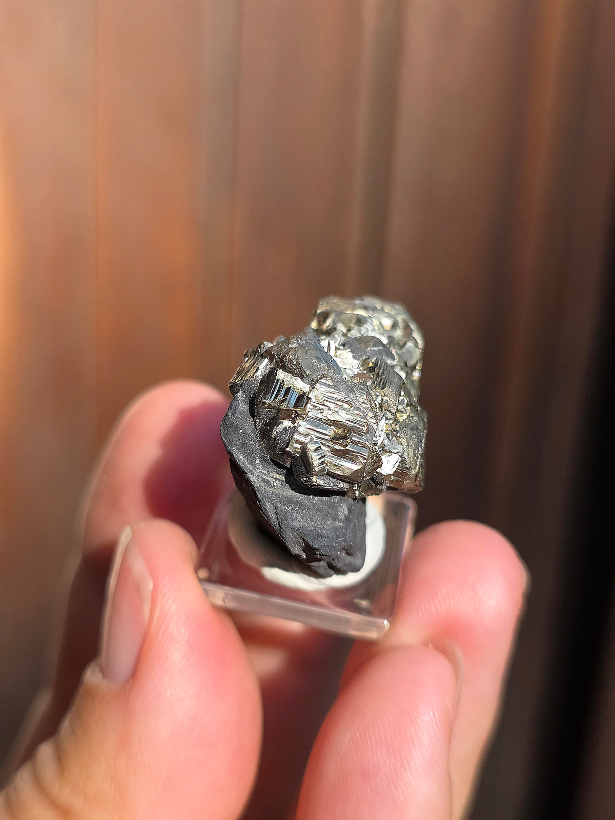 Pyrite sur Schiste française de Serre-Ponçon n°10