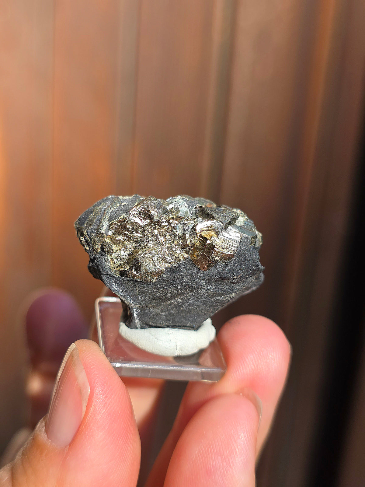 Pyrite sur Schiste française de Serre-Ponçon n°10