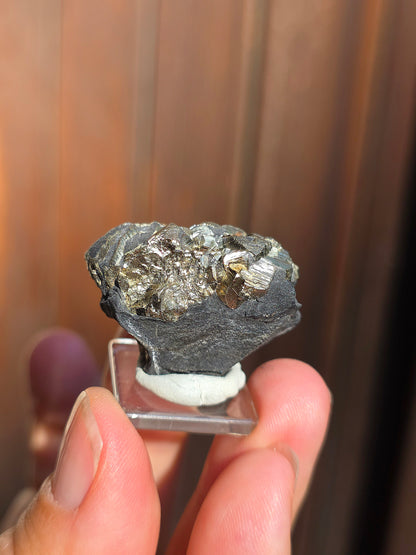 Pyrite sur Schiste française de Serre-Ponçon n°10