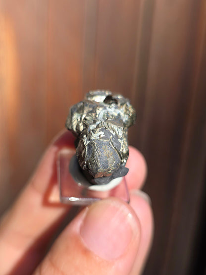 Pyrite sur Schiste française de Serre-Ponçon n°10