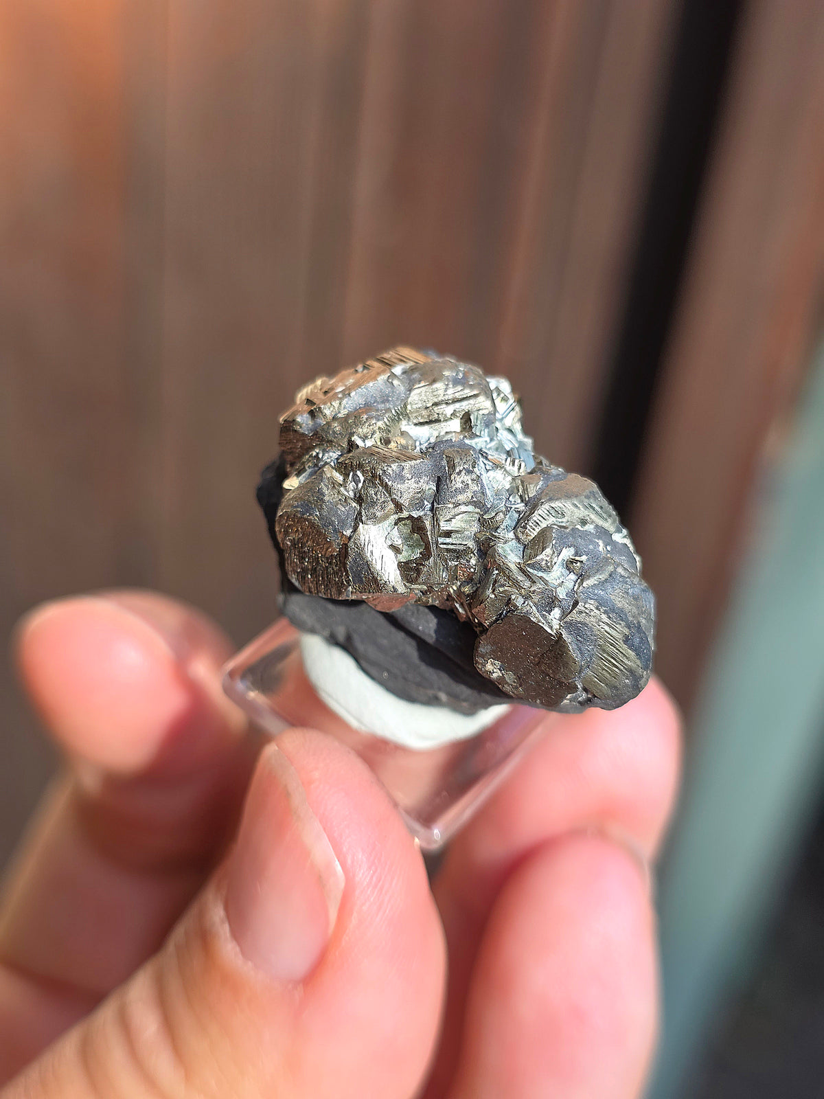 Pyrite sur Schiste française de Serre-Ponçon n°10