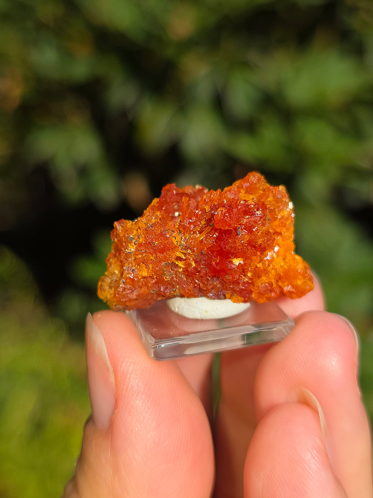 Zincite de Pologne