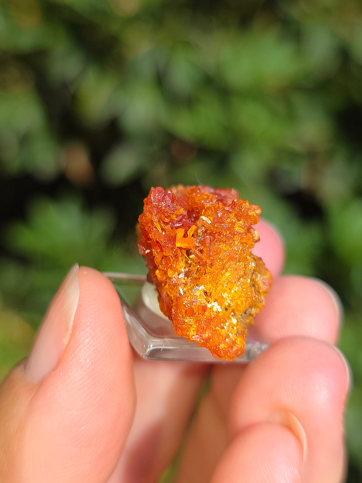 Zincite de Pologne