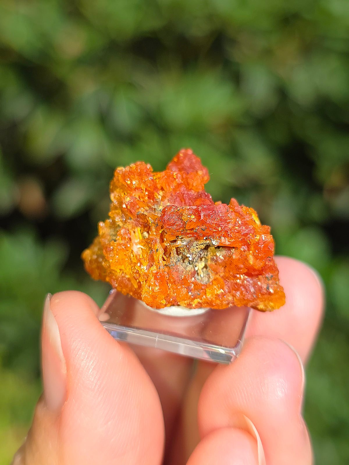 Zincite de Pologne