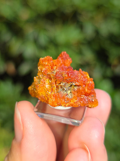 Zincite de Pologne
