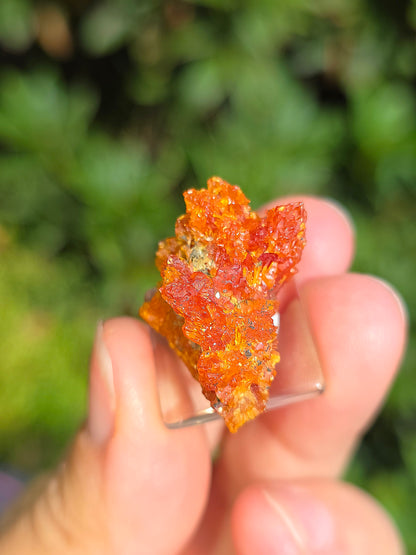 Zincite de Pologne