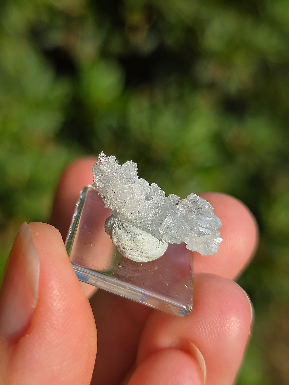 Zincite de Pologne