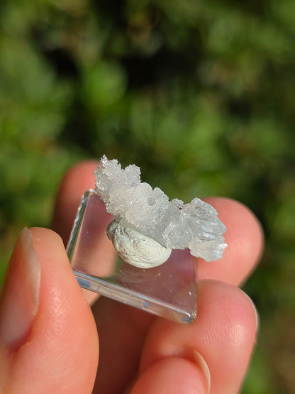 Zincite de Pologne