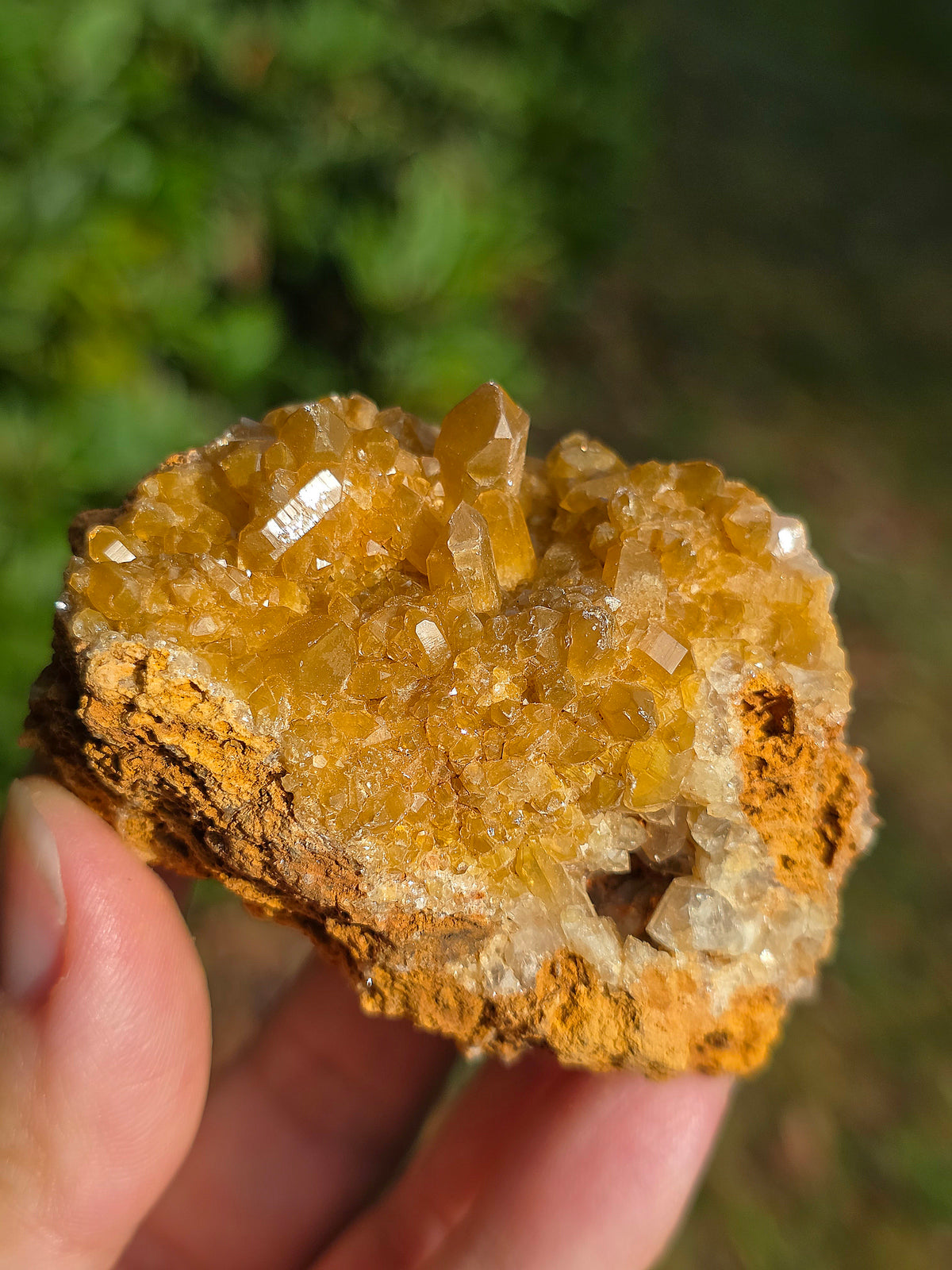 Quartz brut avec inclusions de Limonite