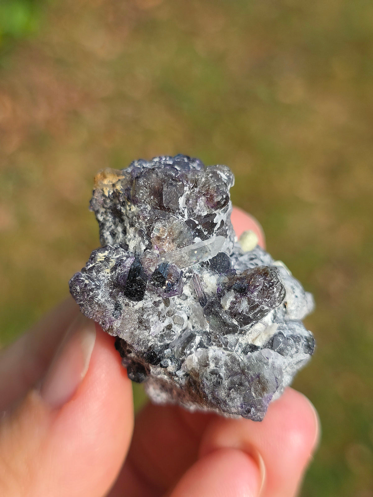 Muscovite, de Fluorite et de Tourmaline noire d'Erongo