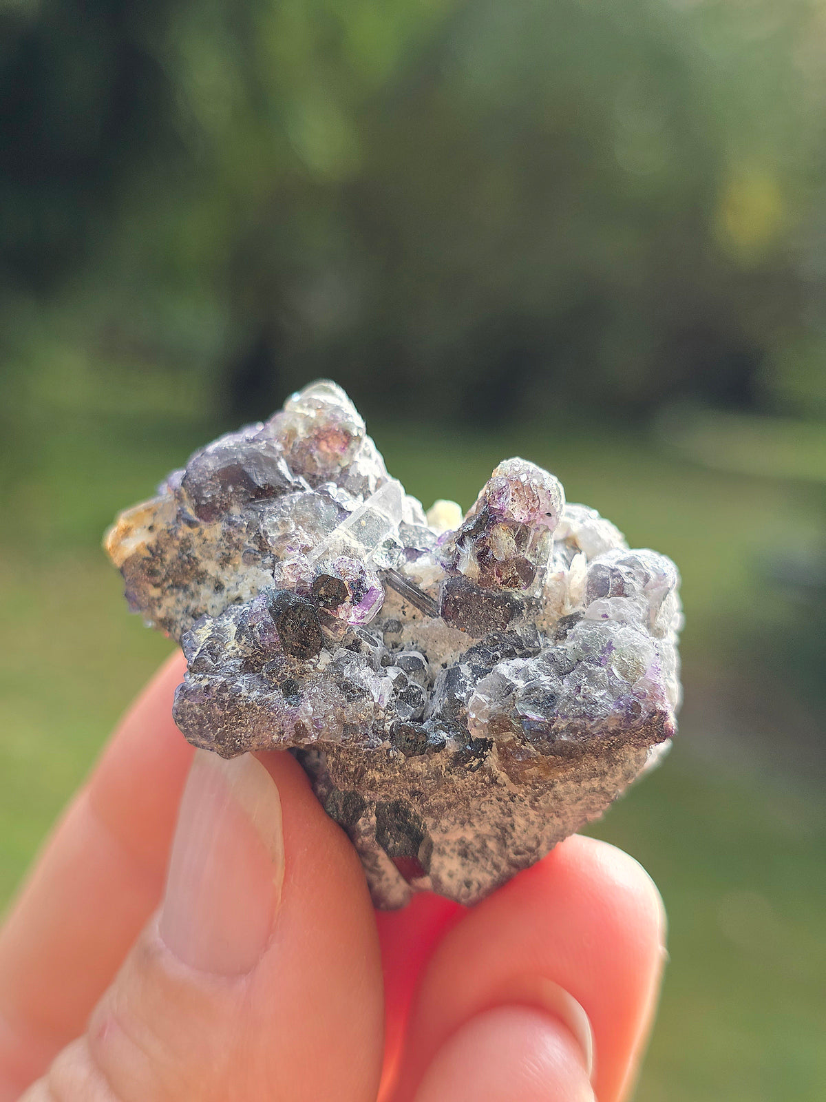 Muscovite, de Fluorite et de Tourmaline noire d'Erongo