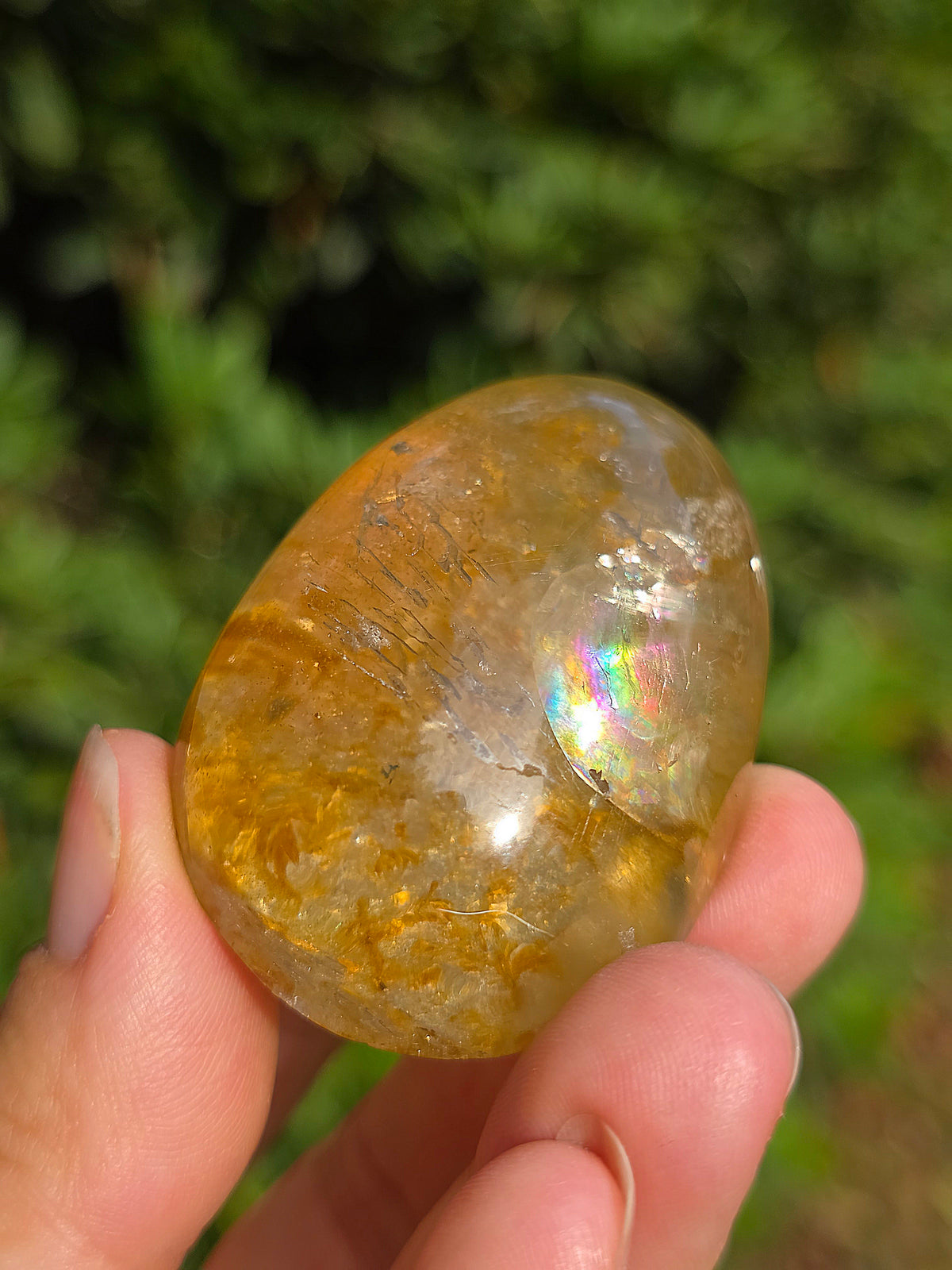 Lens Quartz (Alluvial) de Madagascar