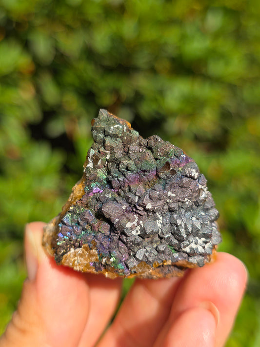 Goethite irisée sur Quartz d'Espagne