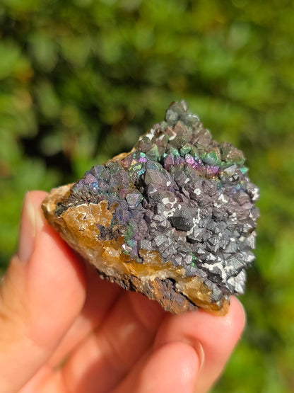 Goethite irisée sur Quartz d'Espagne