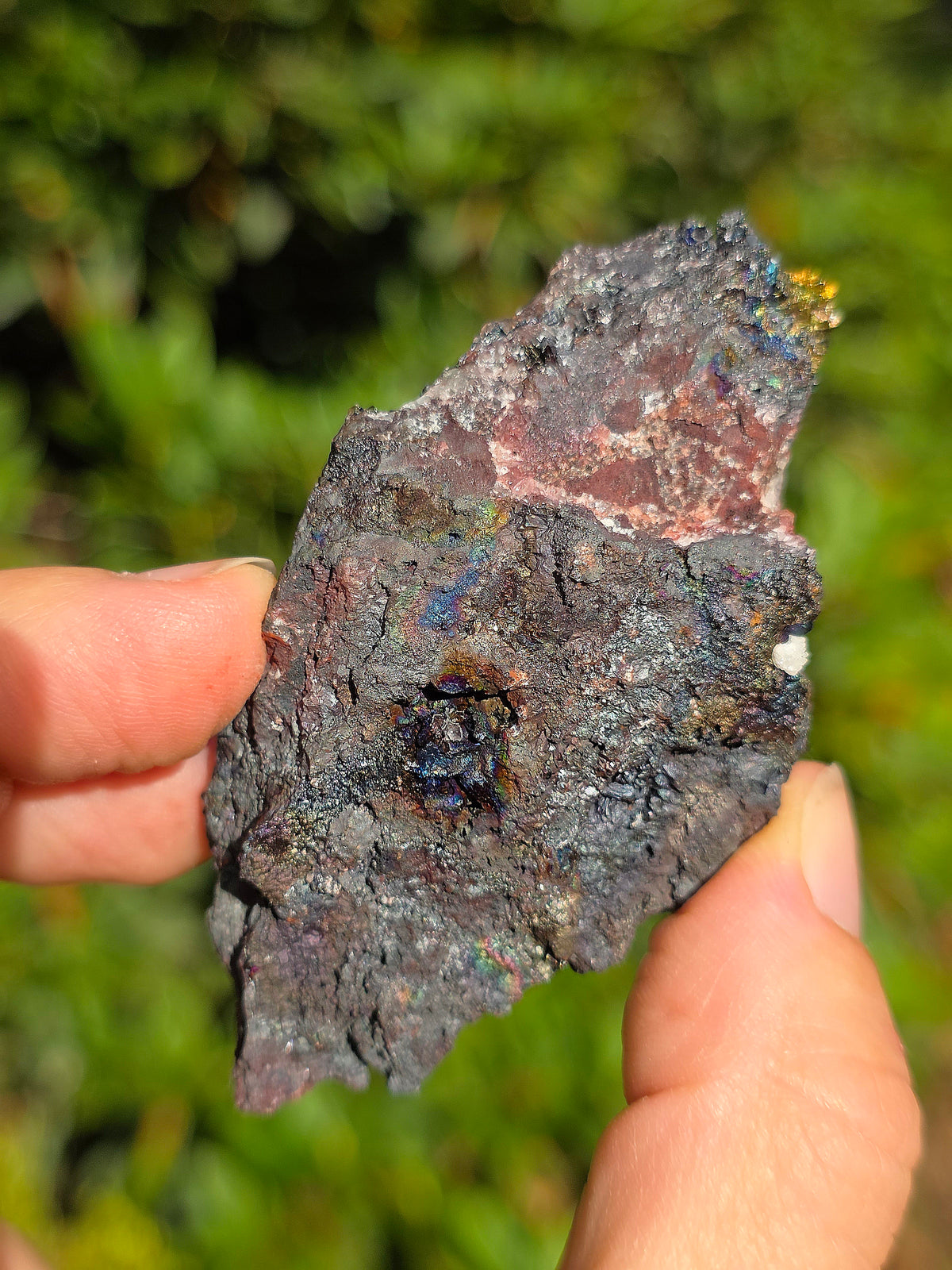 Goethite irisée d'Espagne n°3
