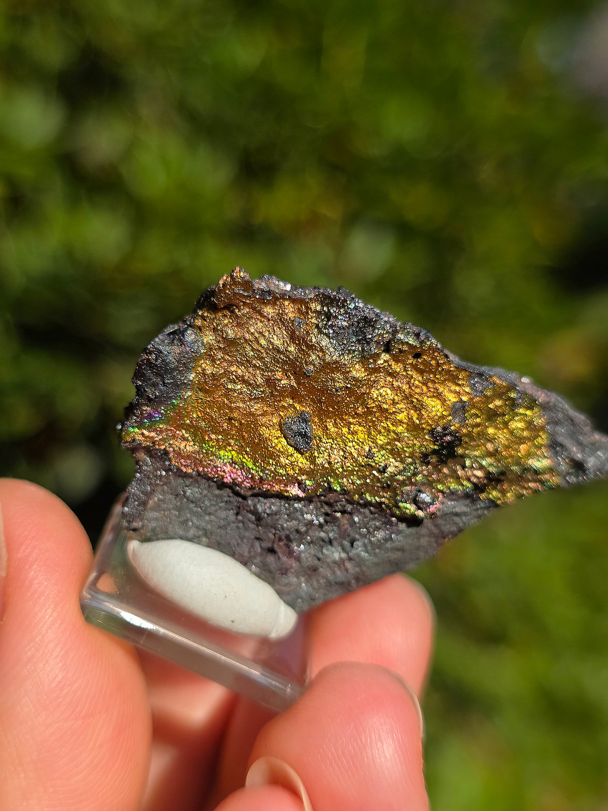 Goethite irisée d'Espagne n°4 sur socle