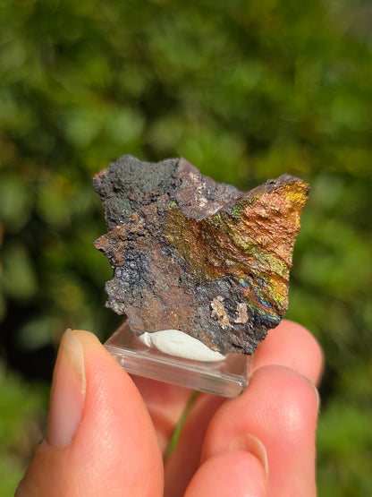 Goethite irisée d'Espagne n°5 sur socle