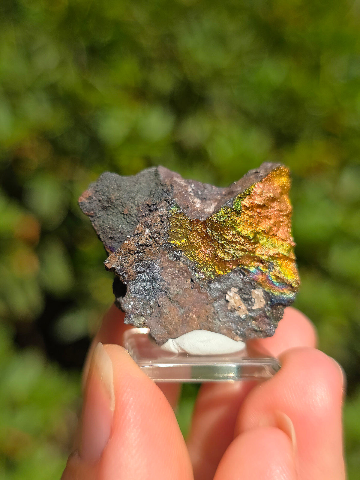 Goethite irisée d'Espagne n°5 sur socle