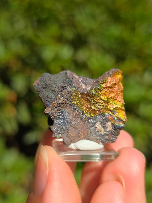 Goethite irisée d'Espagne n°5 sur socle