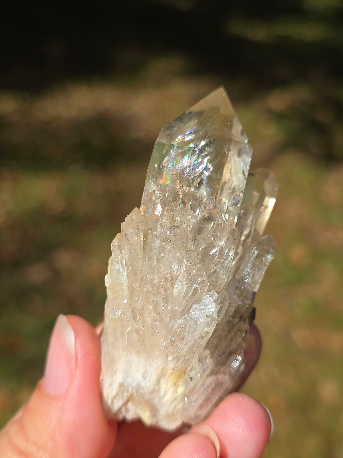 Quartz Kundalini Citrine du Congo