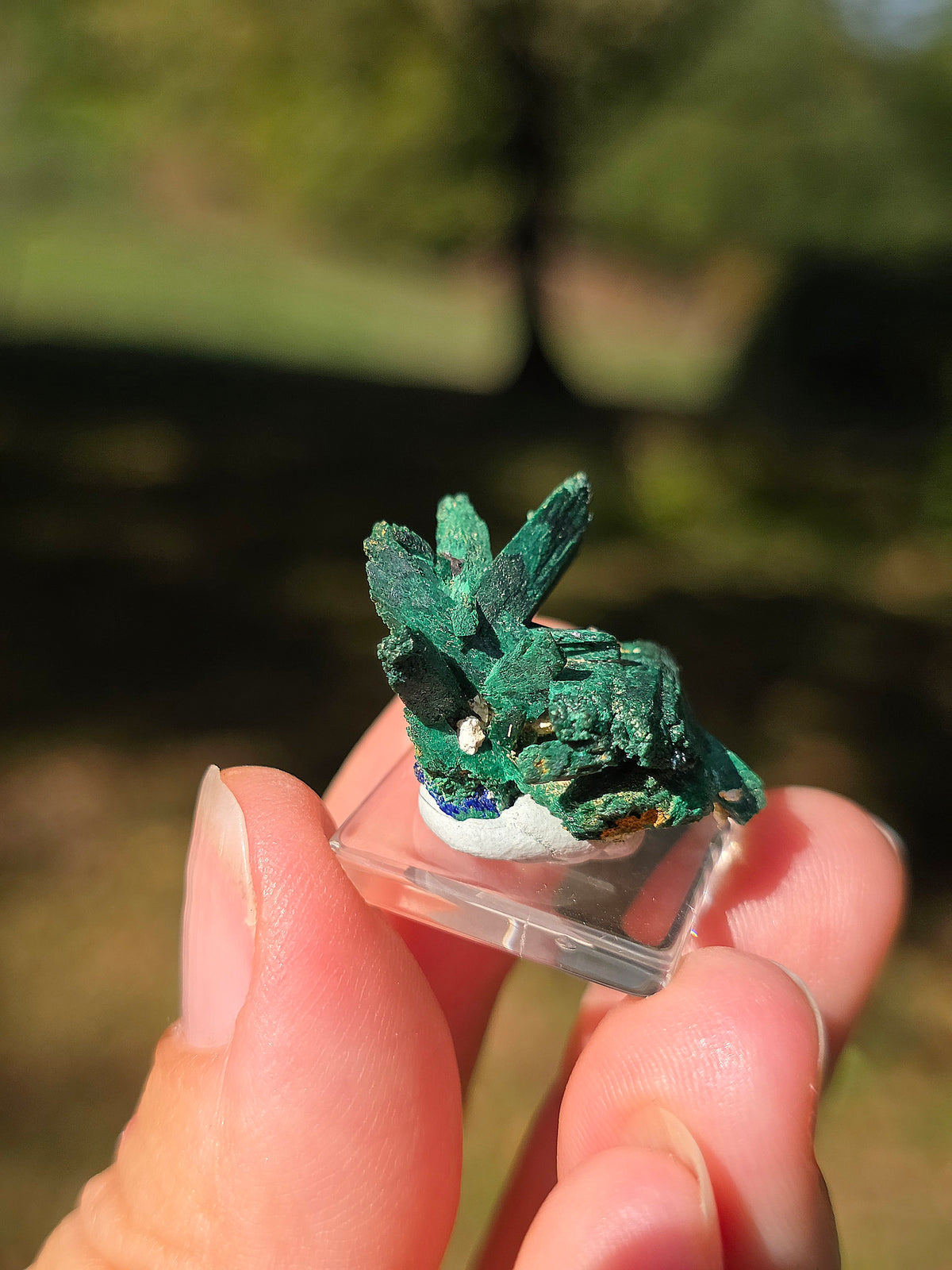 Azurite du Maroc recouverte de Malachite