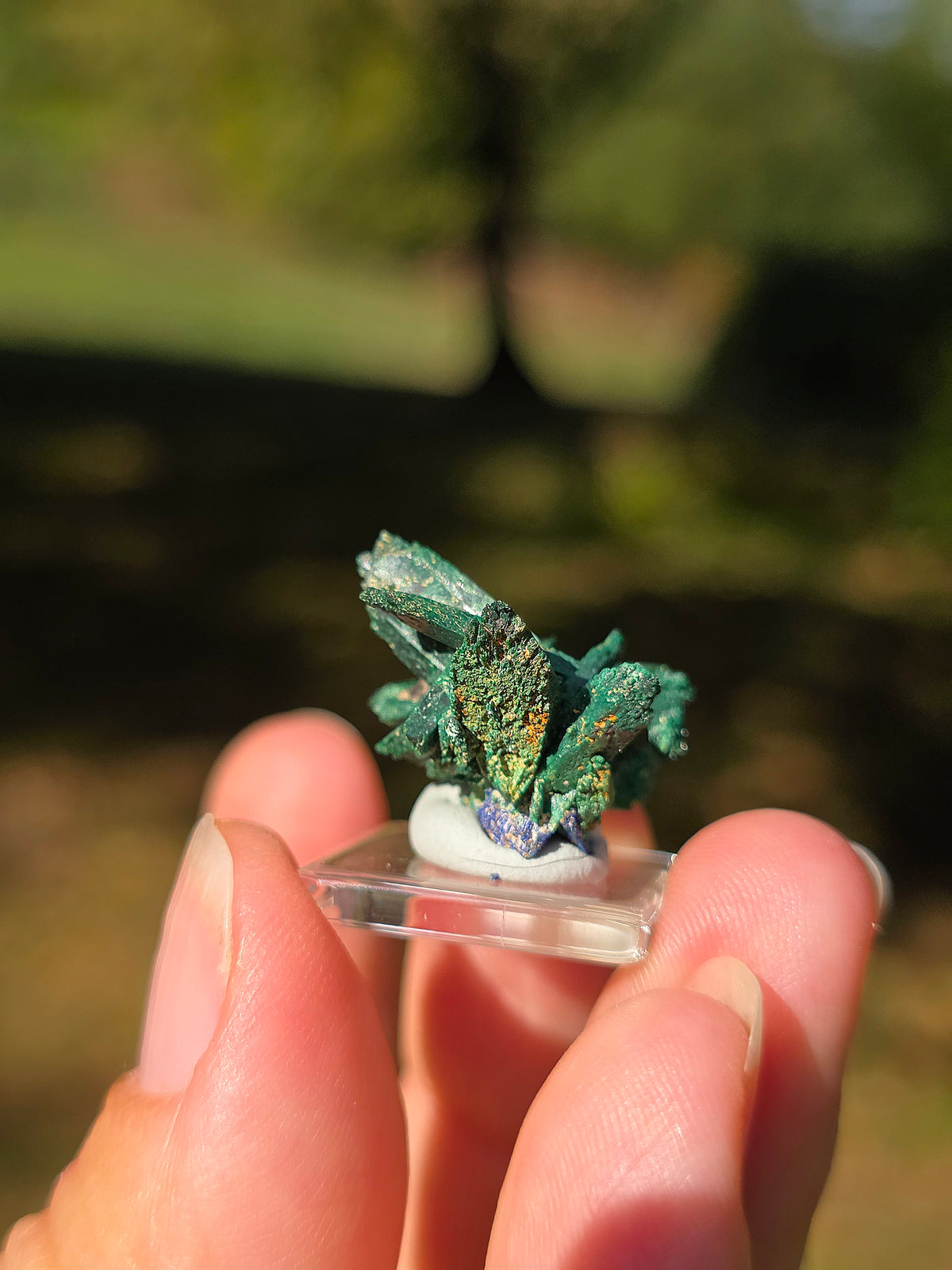 Azurite du Maroc recouverte de Malachite
