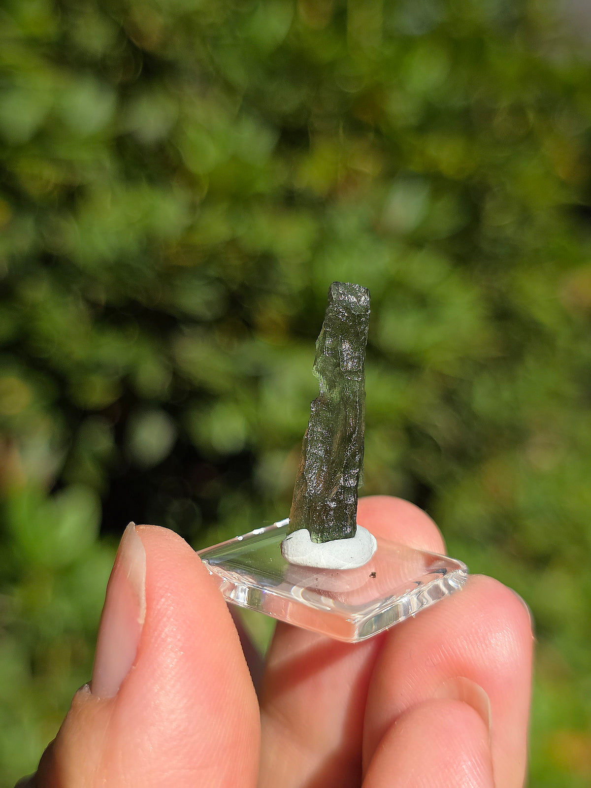  Moldavite naturelle de République Tchèque 