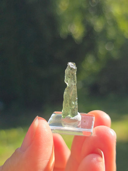  Moldavite naturelle de République Tchèque 